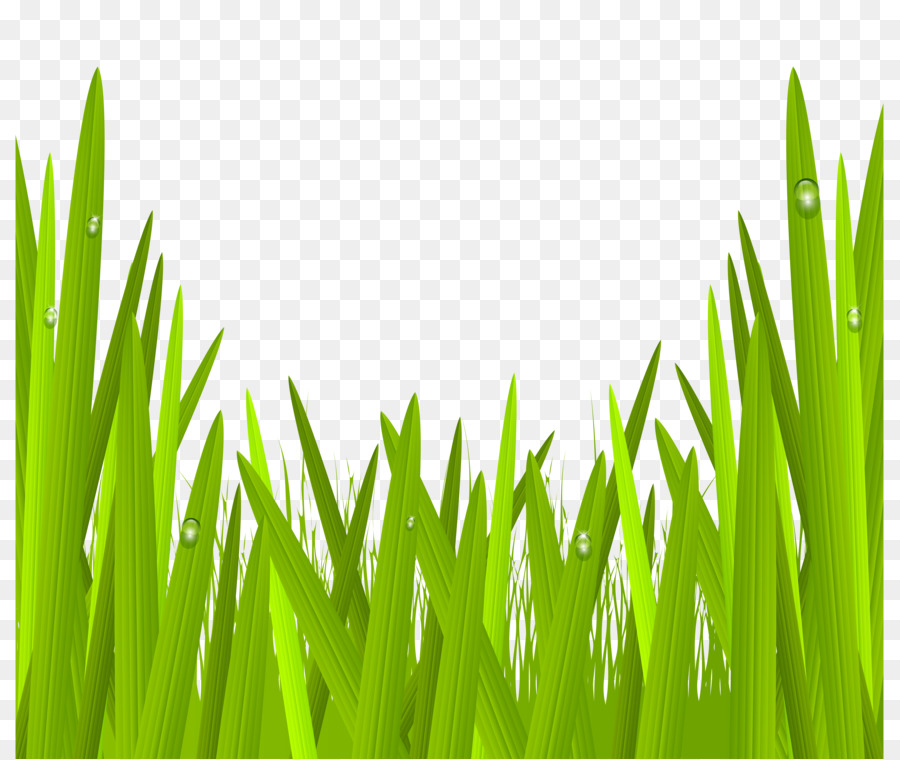 Lawn Clip art - coverings png download - 8000*6751 - Free Transparent Lawn png Download.