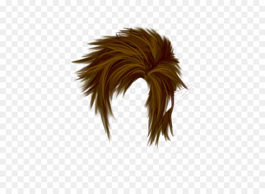 Free Transparent Hair Png, Download Free Transparent Hair Png png images,  Free ClipArts on Clipart Library