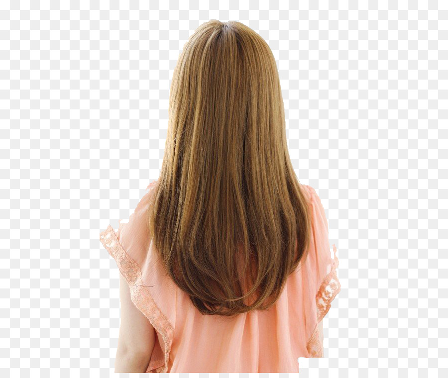 Hairstyle Long hair - Girls hairstyles png download - 500*750 - Free Transparent  png Download.