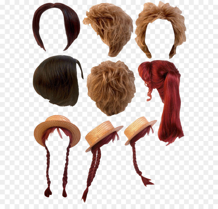 Long hair Hair coloring - Hairstyles Transparent png download - 650*851 - Free Transparent Wig png Download.