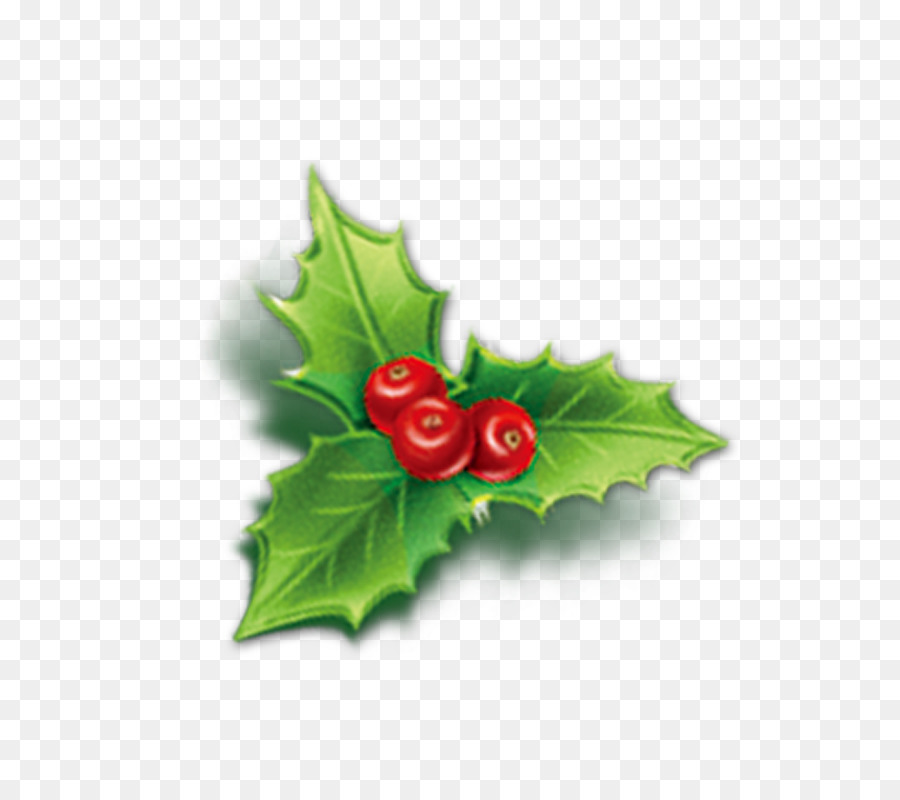 Holly Aquifoliales Christmas Mistletoe Icon - Cherry png download - 800*800 - Free Transparent Holly png Download.
