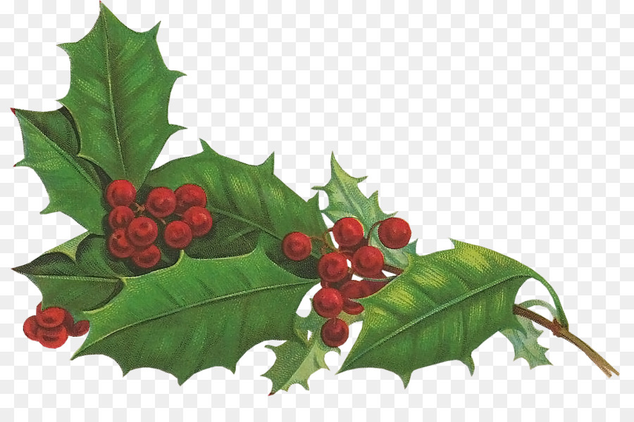 Holly Aquifoliales Christmas Holiday Snowman - christmas png download - 1069*700 - Free Transparent Holly png Download.
