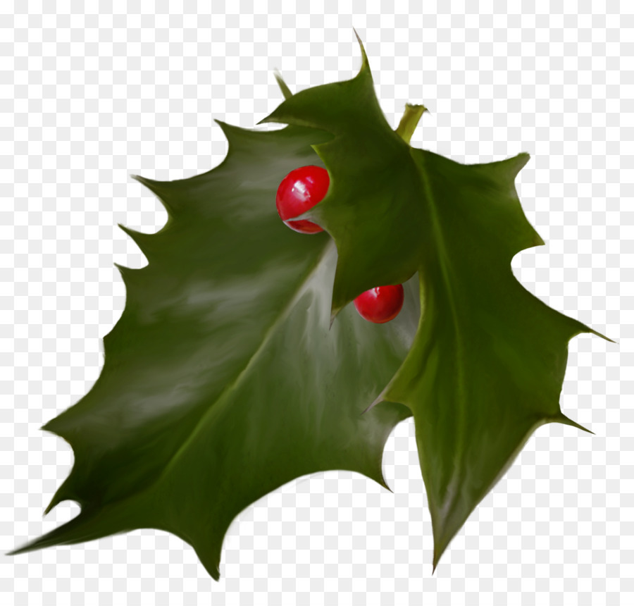 Holly Christmas Advent wreath Holiday - Leaf png download - 1102*1042 - Free Transparent Holly png Download.