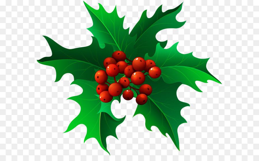 Mistletoe Christmas Clip art - Christmas Holly Mistletoe Transparent PNG Clip Art png download - 8000*6720 - Free Transparent Common Holly png Download.