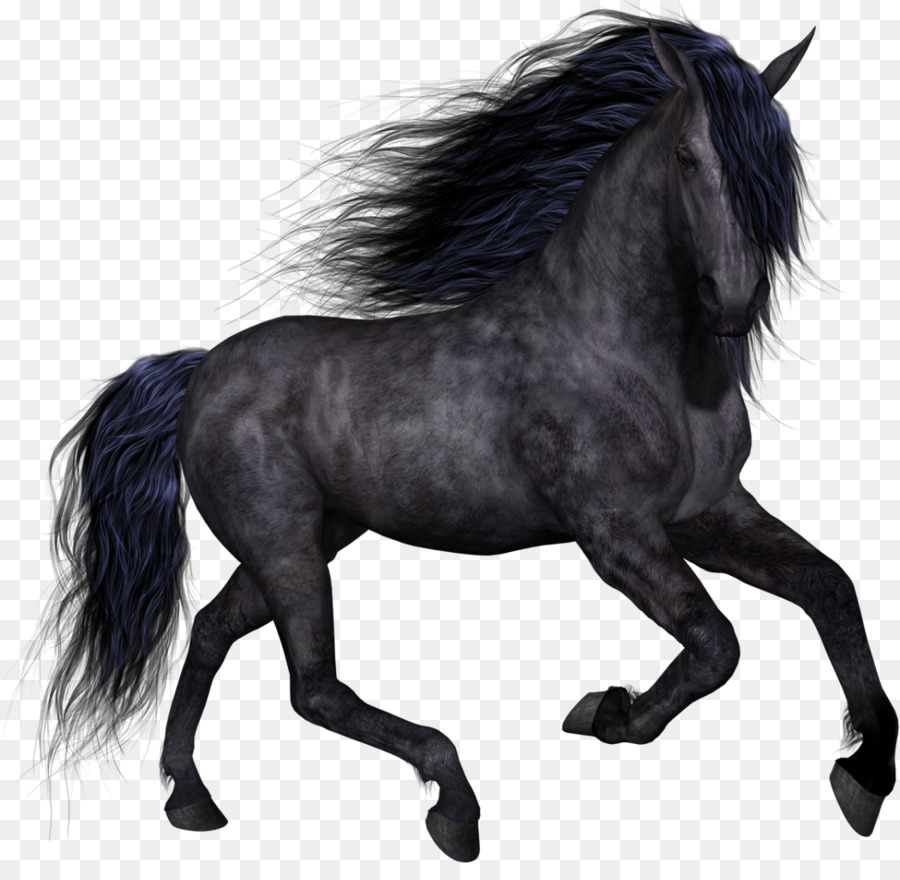 Horse Clip art - Horses png download - 1125*1080 - Free Transparent Horse png Download.