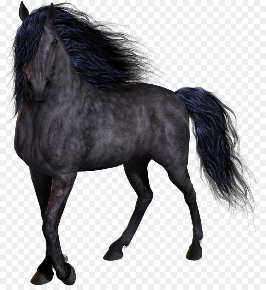 Horses Mane Clip art - horse png download - 1118*1200 - Free Transparent Horse png Download.