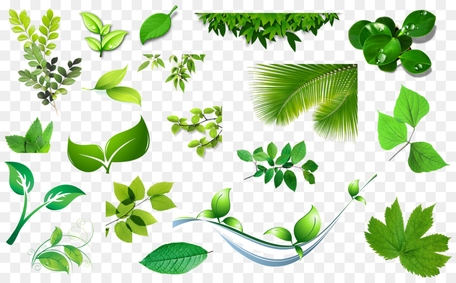 Leaf Clip art - Spring green bamboo leaves sets of plans png download - 2700*1662 - Free Transparent Leaf png Download.