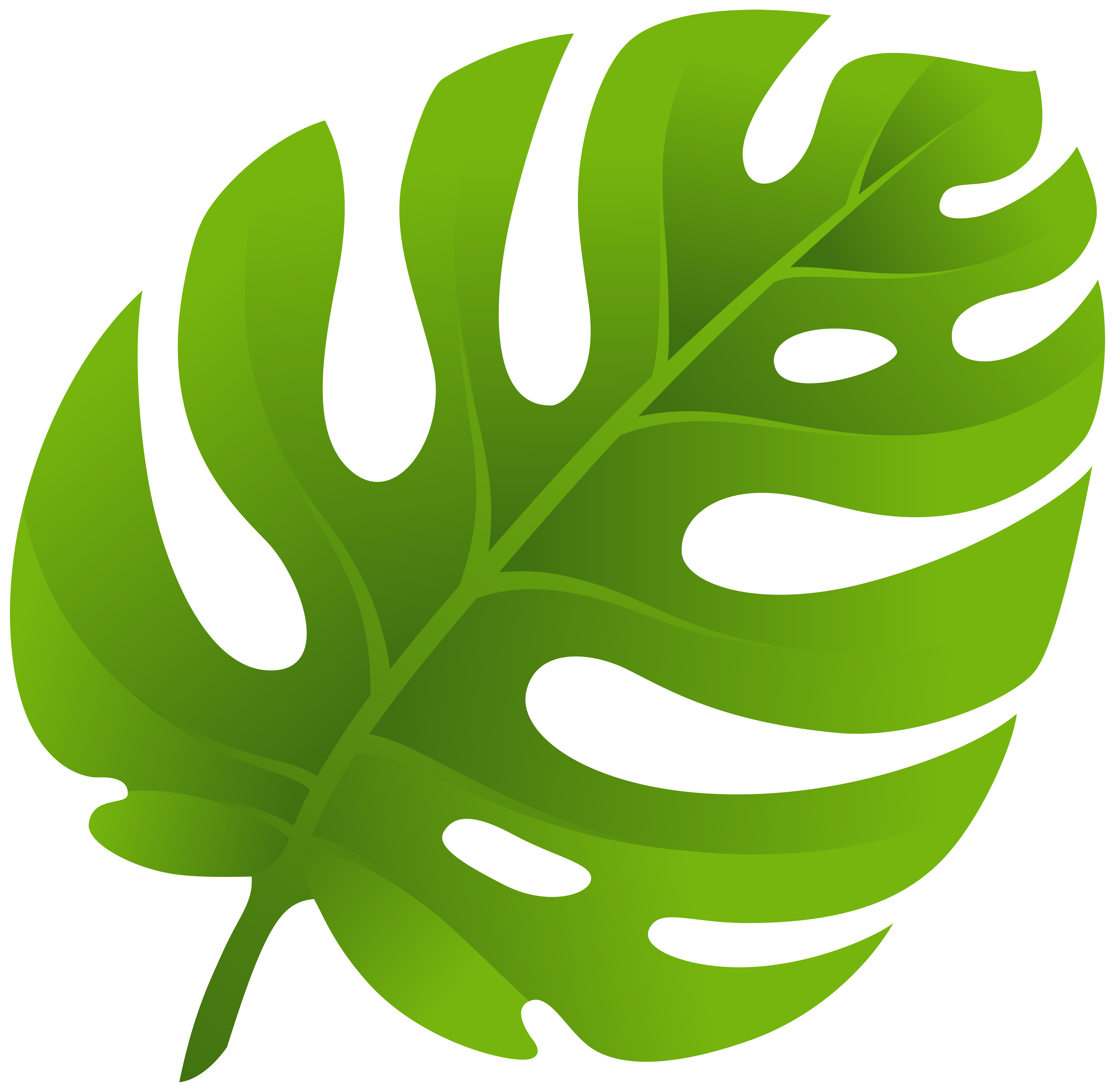 Monstera Leaf Vector Free Download - rezamustafa
