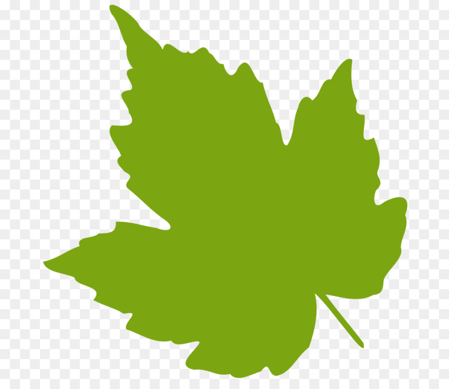 Leaf Green Clip art - Leaf png download - 768*768 - Free Transparent Leaf png Download.