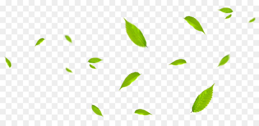 Leaf Green - Green leaves fly with the wind png download - 2083*998 - Free Transparent Leaf png Download.