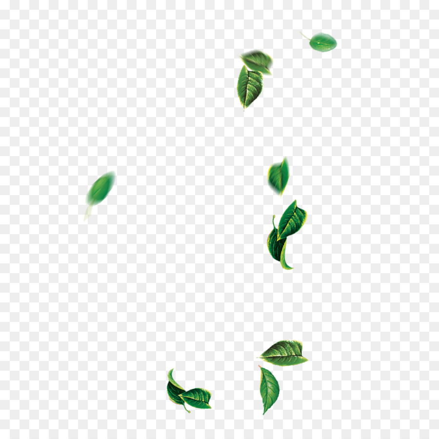 Leaf Green Tree - Falling leaves png download - 1400*1400 - Free Transparent Leaf png Download.