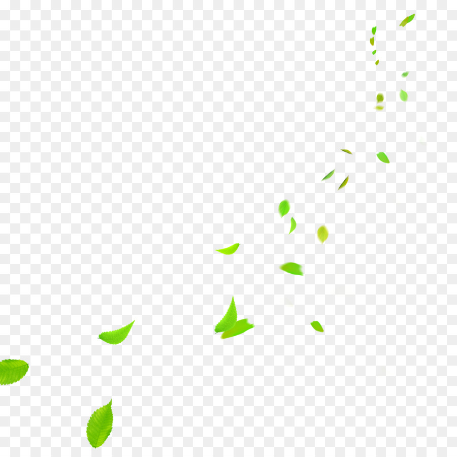 Clip art - Clear green leaves falling png download - 1134*1134 - Free Transparent Computer Graphics png Download.