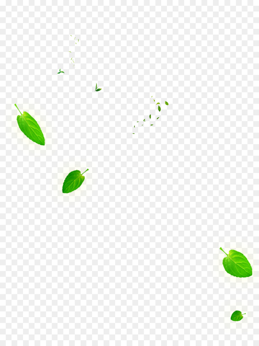 Leaf Green Euclidean vector - Falling leaves png download - 1666*2214 - Free Transparent Leaf png Download.