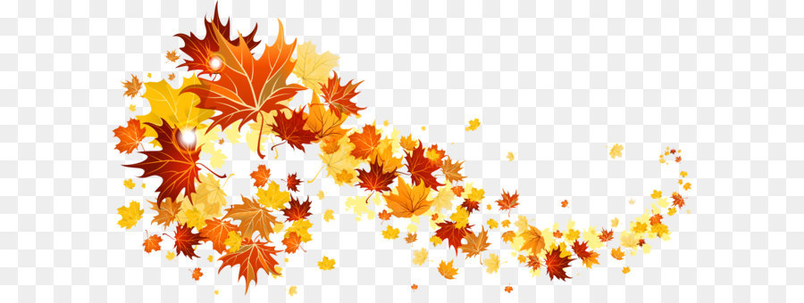 Autumn leaf color Clip art - Fall Leaves Transparent Picture png download - 3742*1915 - Free Transparent Autumn Leaf Color png Download.
