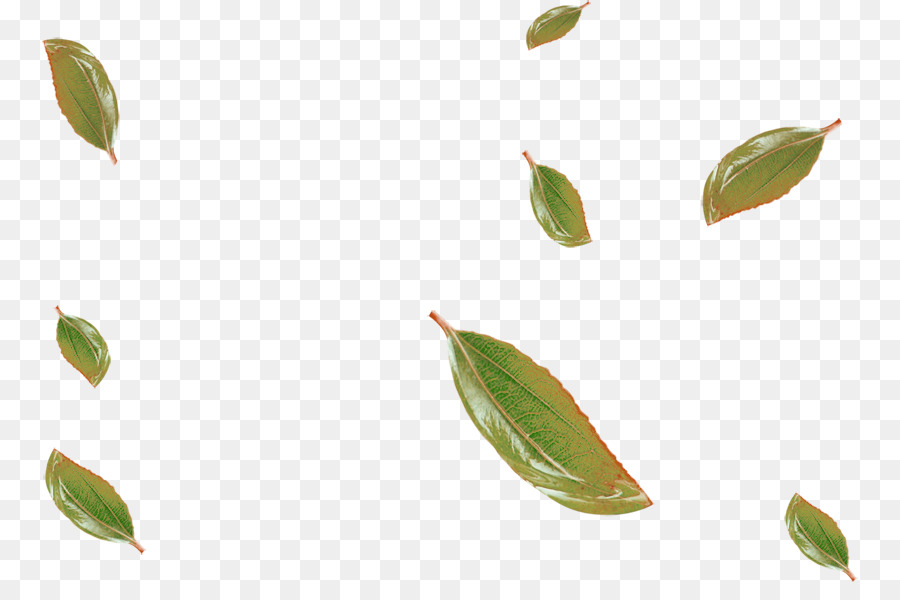 Leaf Clip art - Green leaves falling floating material png download - 816*582 - Free Transparent Leaf png Download.