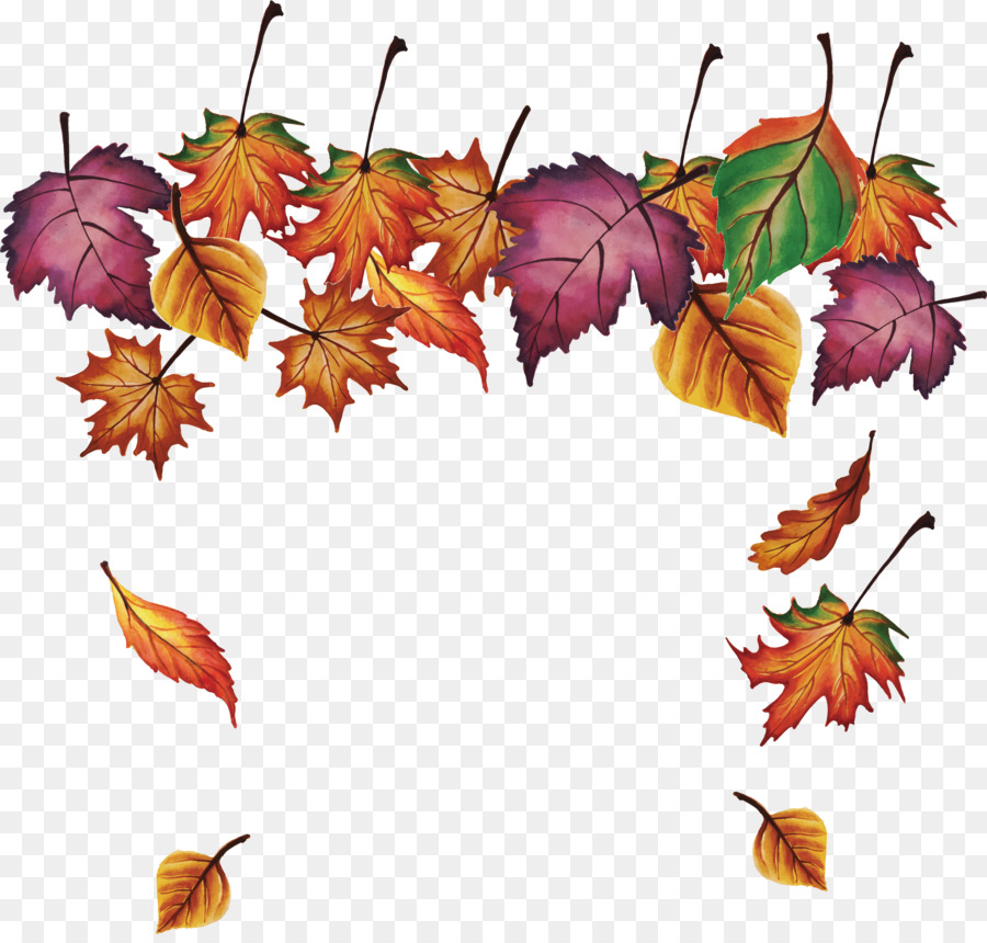 Maple leaf - Maple leaves falling png download - 2733*2588 - Free Transparent Maple Leaf png Download.