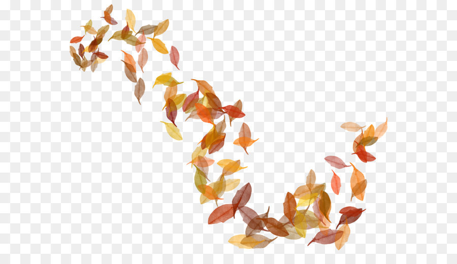 Autumn leaf color - Transparent Fall Leaves PNG Image png download - 2292*1777 - Free Transparent Leaf png Download.