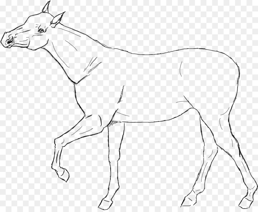 Line art American Quarter Horse Racking horse Drawing - Lineart png download - 1600*1305 - Free Transparent Line Art png Download.