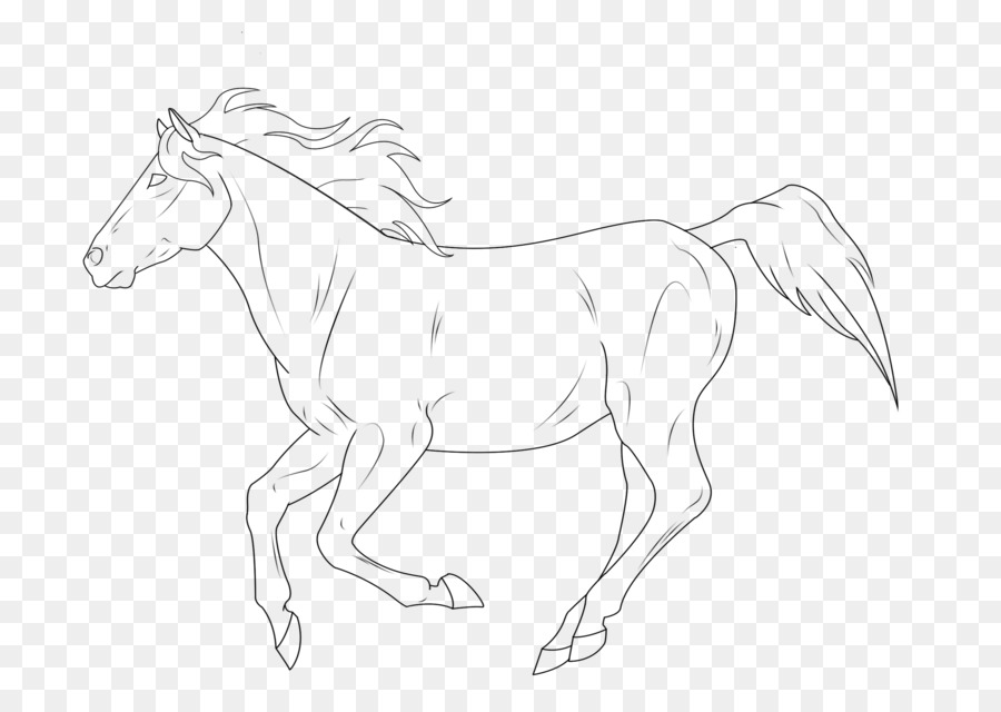 Line art Pony Stallion Mustang Drawing - Lineart png download - 900*636 - Free Transparent Line Art png Download.