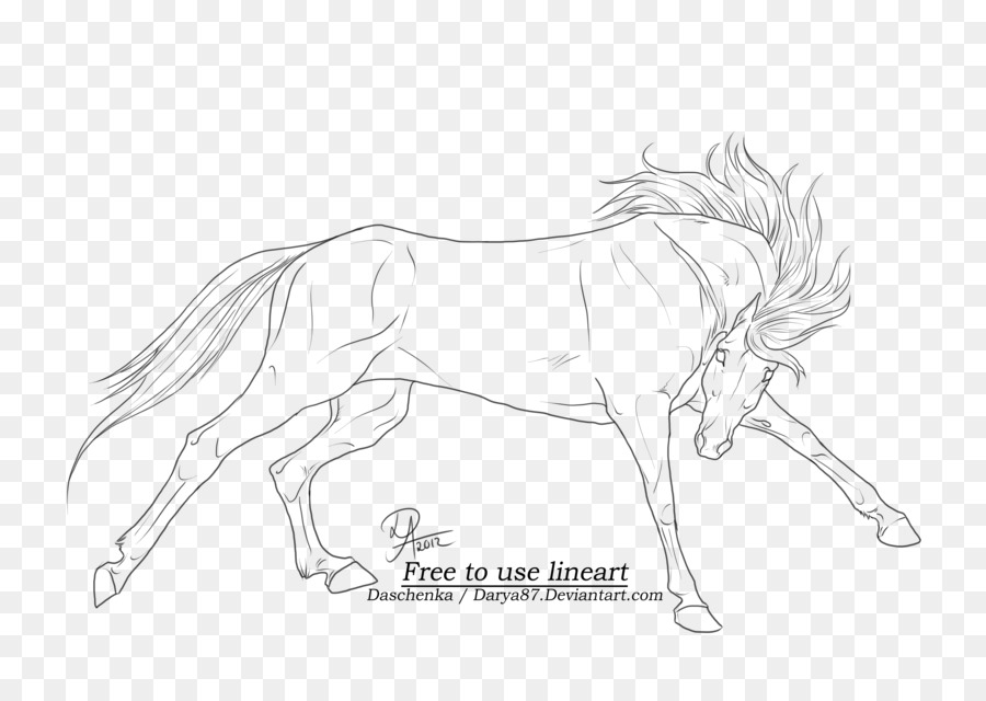Arabian horse Line art Drawing Wild horse - galloping horse png download - 4961*3508 - Free Transparent Arabian Horse png Download.