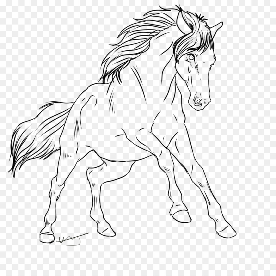 Mane Mustang Pony Stallion Halter - Lineart png download - 894*894 - Free Transparent Mane png Download.