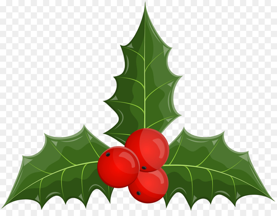 Clip art Portable Network Graphics Mistletoe Common holly Christmas Day - mistletoe png christmas holly png download - 8000*6108 - Free Transparent Mistletoe png Download.