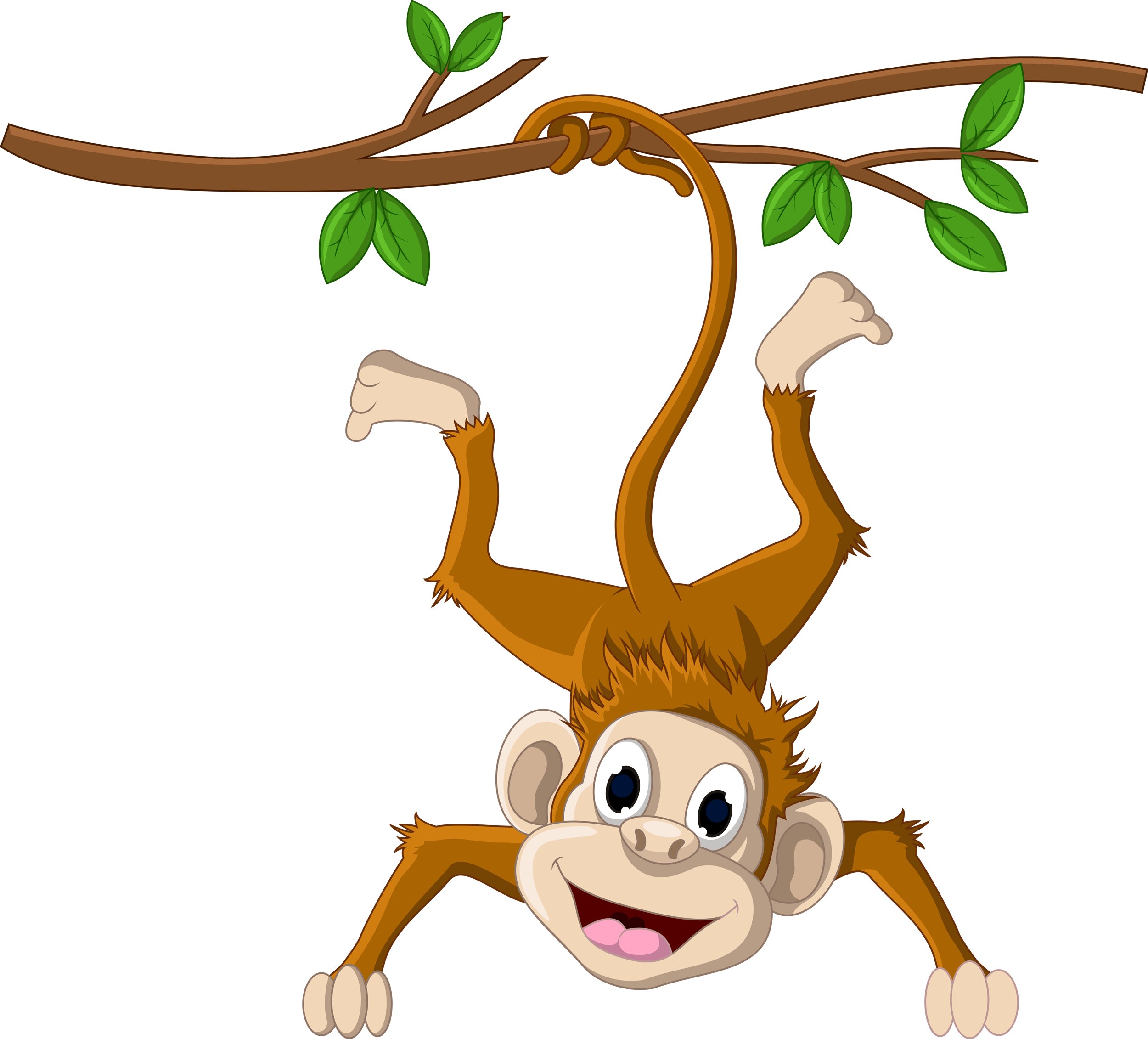 Monkey Hanging From A Tree Png Download 25002262 Free Transparent