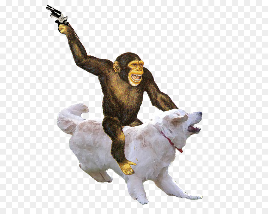 Monkey Ape Primate Simian - monkey png download - 625*708 - Free Transparent Monkey png Download.