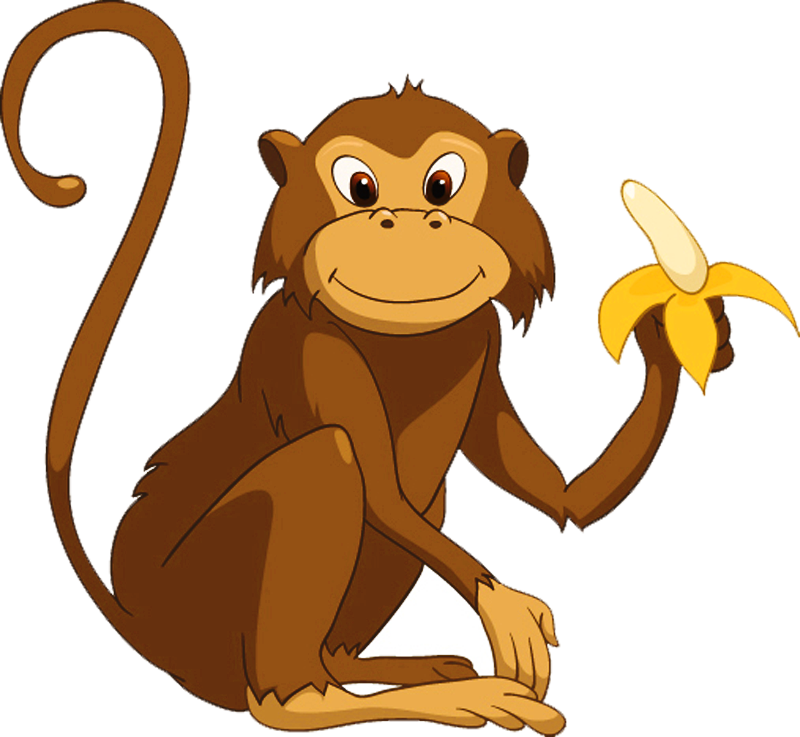 Monkey Primate Gorilla Clip