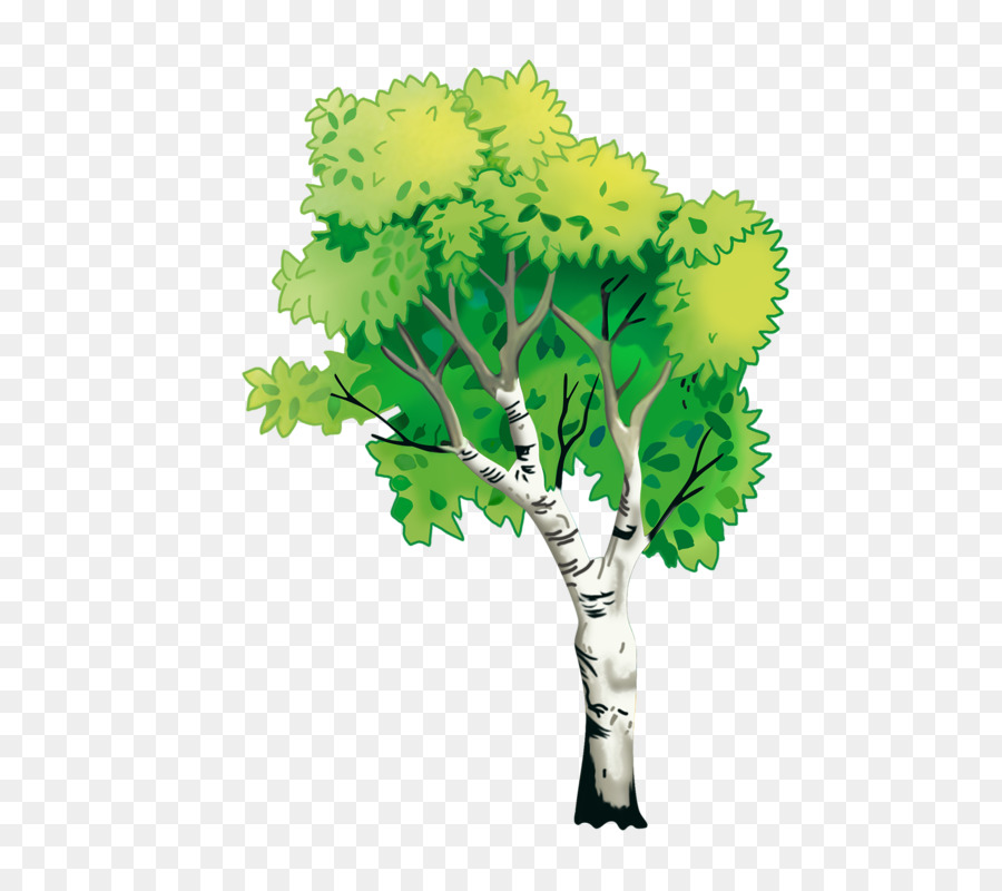 Nature Natural environment Tree - natural environment png download - 596*800 - Free Transparent Nature png Download.
