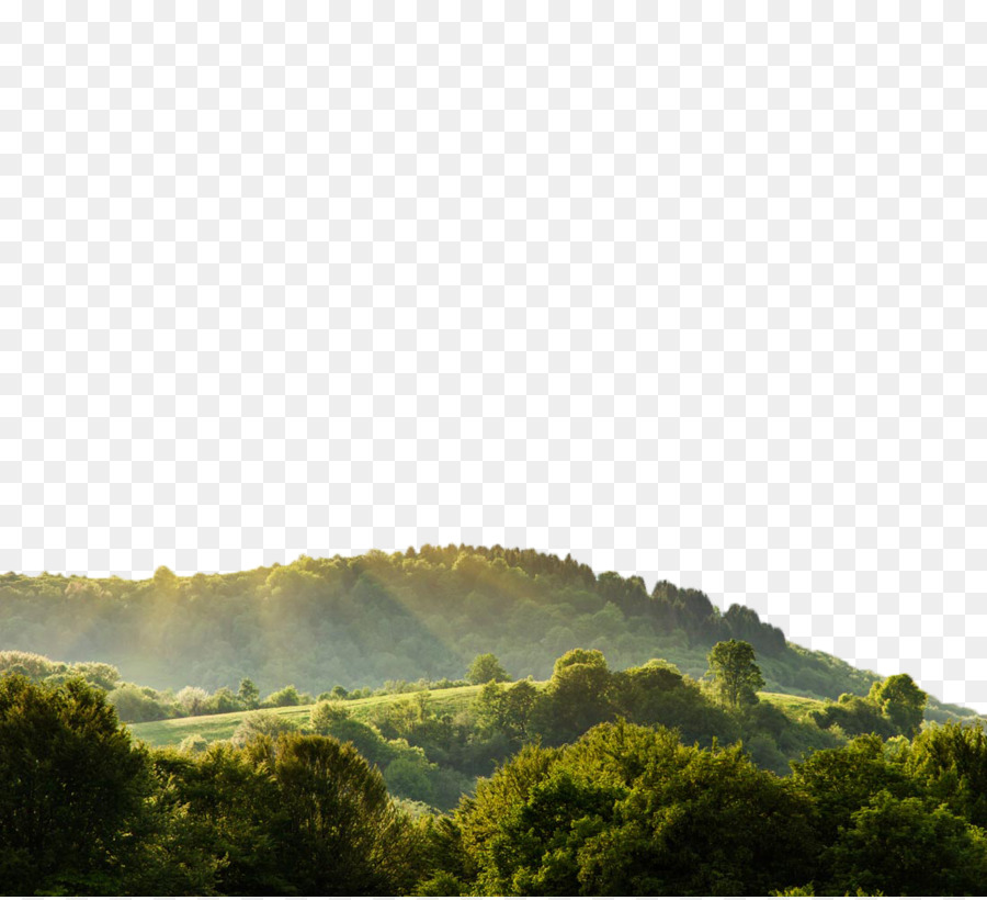 Nature Landscape Display resolution Wallpaper - Beautiful mountain scenery field png download - 1100*999 - Free Transparent Nature png Download.