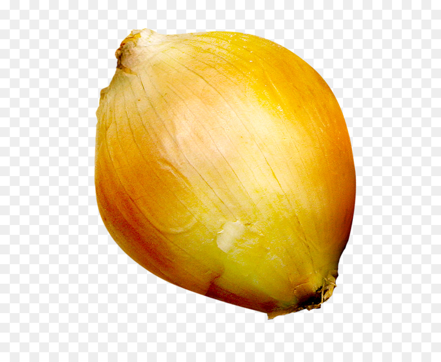 onion download