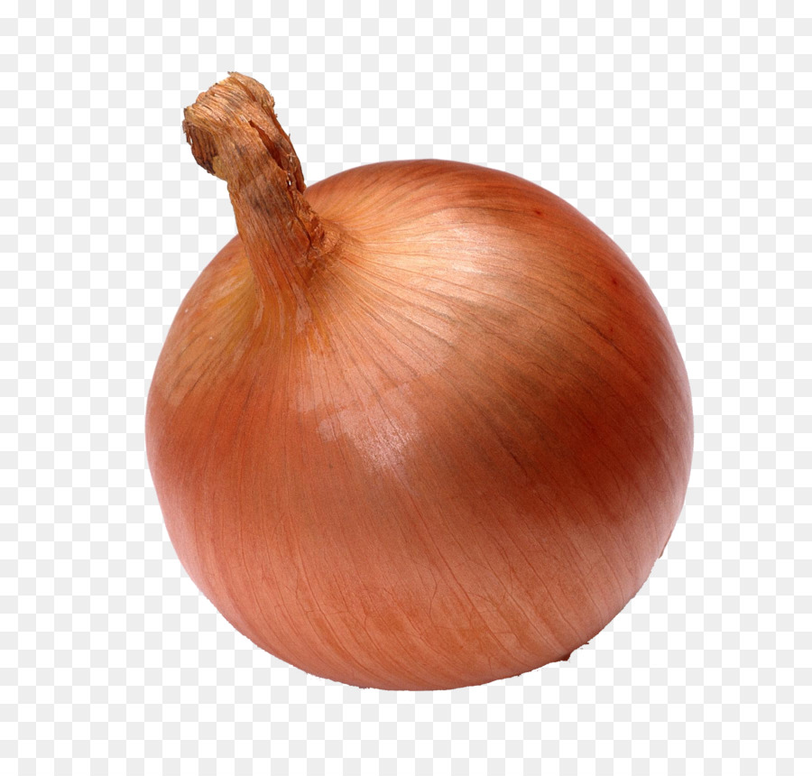 Onion Vegetable Seed Watermelon - Creative onion png download - 1799*1691 - Free Transparent Onion png Download.