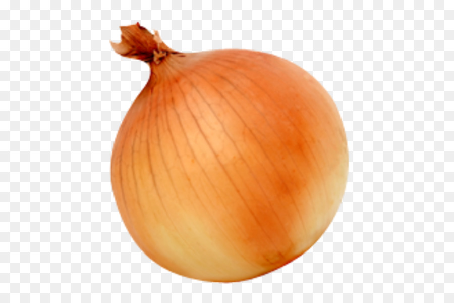 White onion Yellow onion Vegetable - vegetable png download - 600*600 - Free Transparent White Onion png Download.