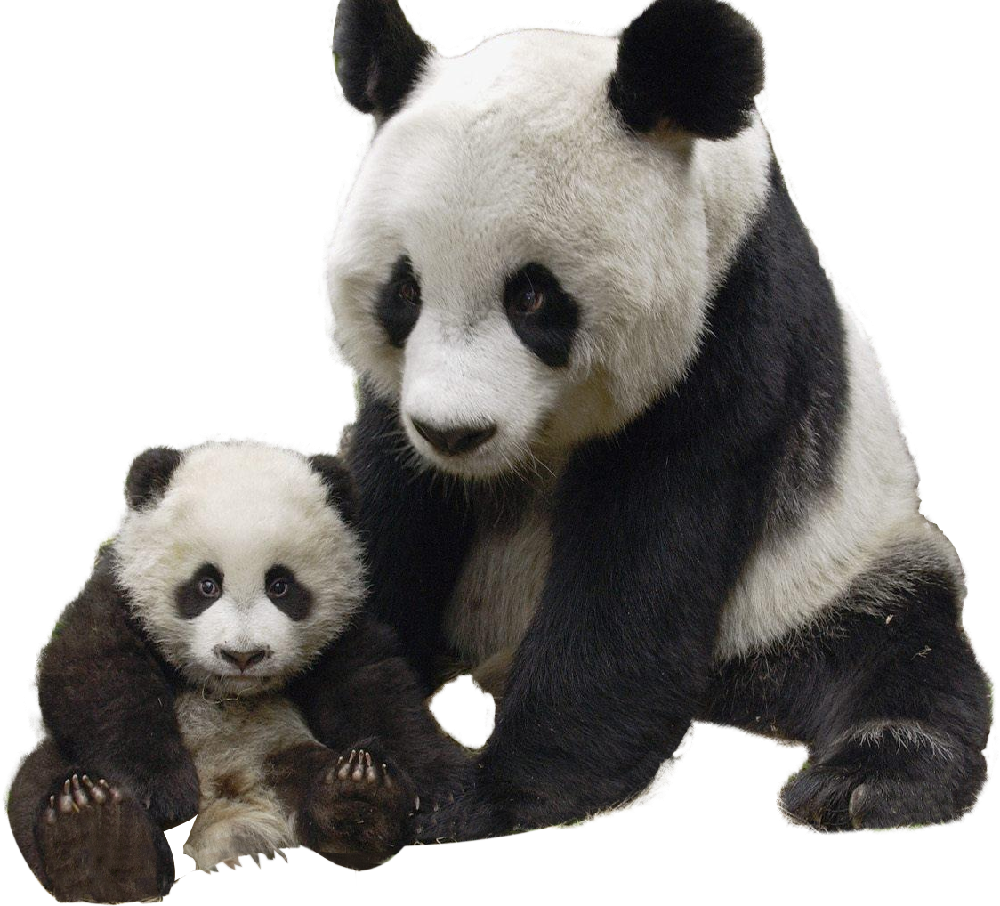 Clipart Panda Free Clipart Images