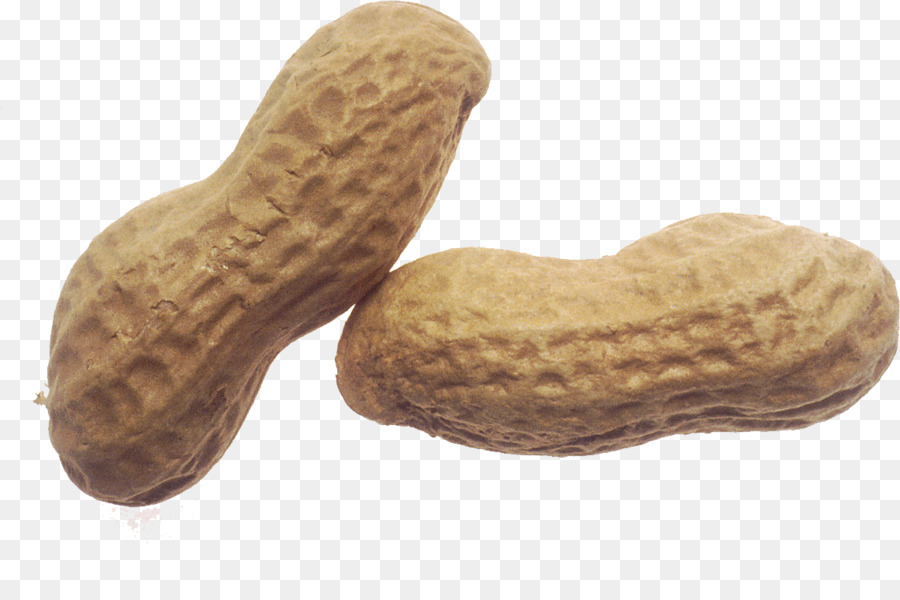National Peanut Day Clip art From Peanut to Peanut Butter - roasted peanut png download - 1161*753 - Free Transparent Peanut png Download.