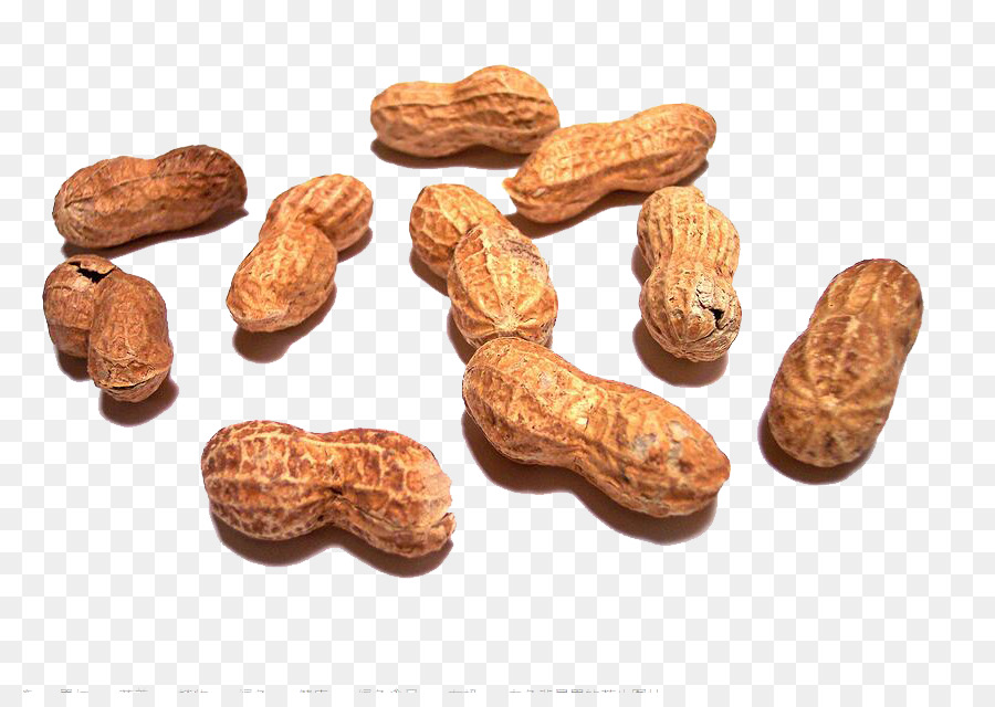 Peanut allergy - Sunshine Peanut png download - 858*627 - Free Transparent Peanut png Download.