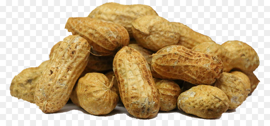 Peanut Vegetable Farm Pune - peanut shells png download - 1080*484 - Free Transparent Peanut png Download.