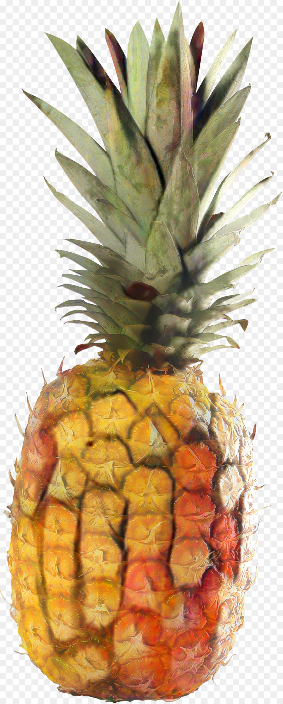 Pineapple -  png download - 1088*2703 - Free Transparent Pineapple png Download.