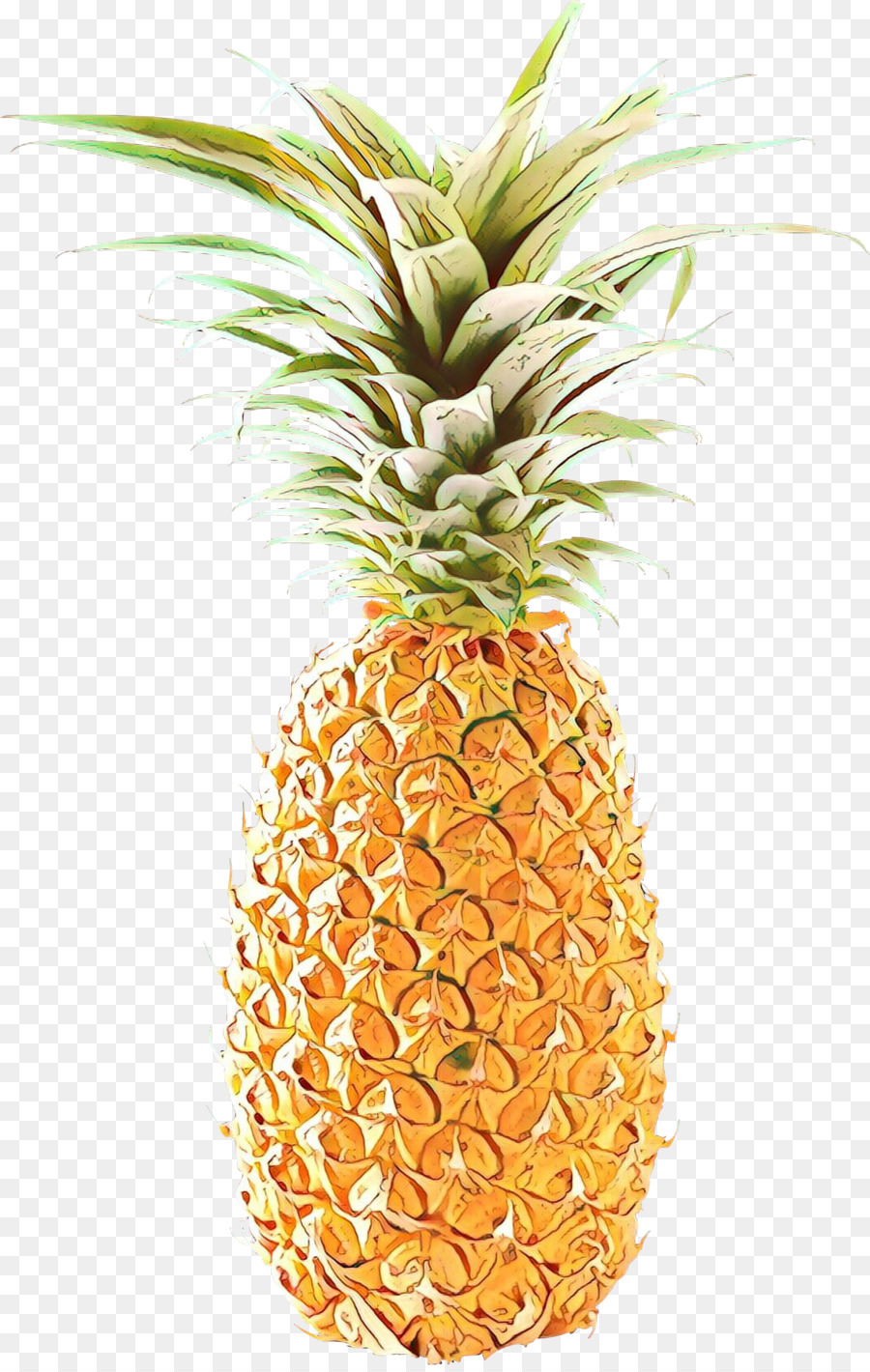 Pineapple -  png download - 1555*2441 - Free Transparent Pineapple png Download.