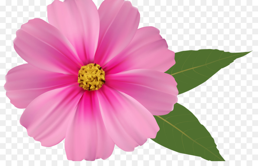 Pink flowers Rose Clip art - rose png download - 1368*855 - Free Transparent Pink Flowers png Download.