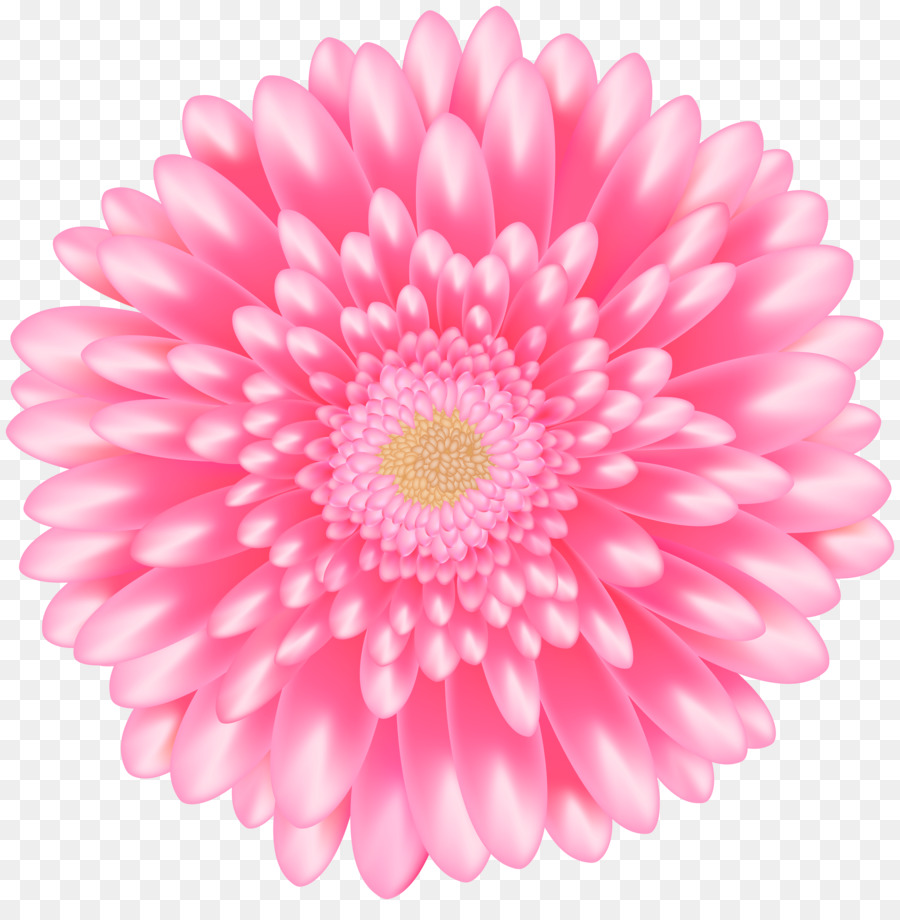 Clip art Portable Network Graphics Pink flowers Transparency - flower