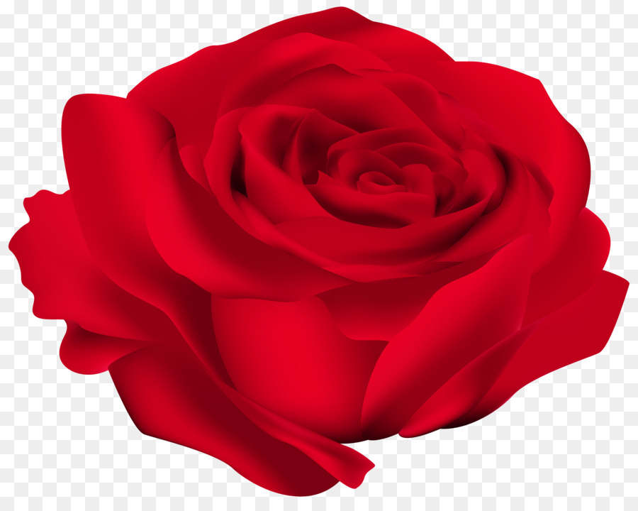 Rose Flower Clip art - red flower png download - 8000*6305 - Free Transparent Rose png Download.