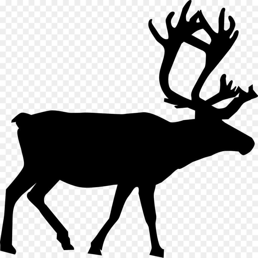 Reindeer Rudolph Clip art - MOOSE png download - 1280*1279 - Free Transparent Reindeer png Download.