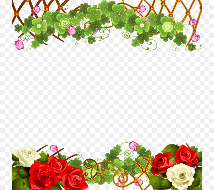 Paper Rosa chinensis Flower Garden roses - Rose Border png download - 800*800 - Free Transparent Paper png Download.