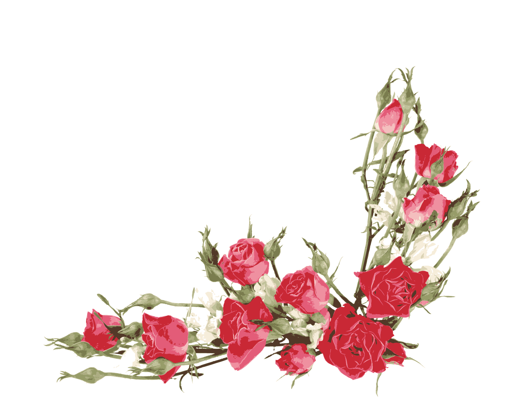 Rose Flower bouquet Clip art - Red Rose Border png download - 1753*1445