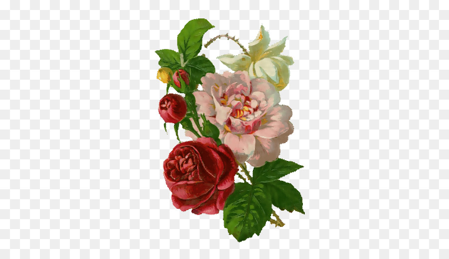Rose Border Flowers Pink flowers - rose png download - 418*505 - Free Transparent Rose png Download.