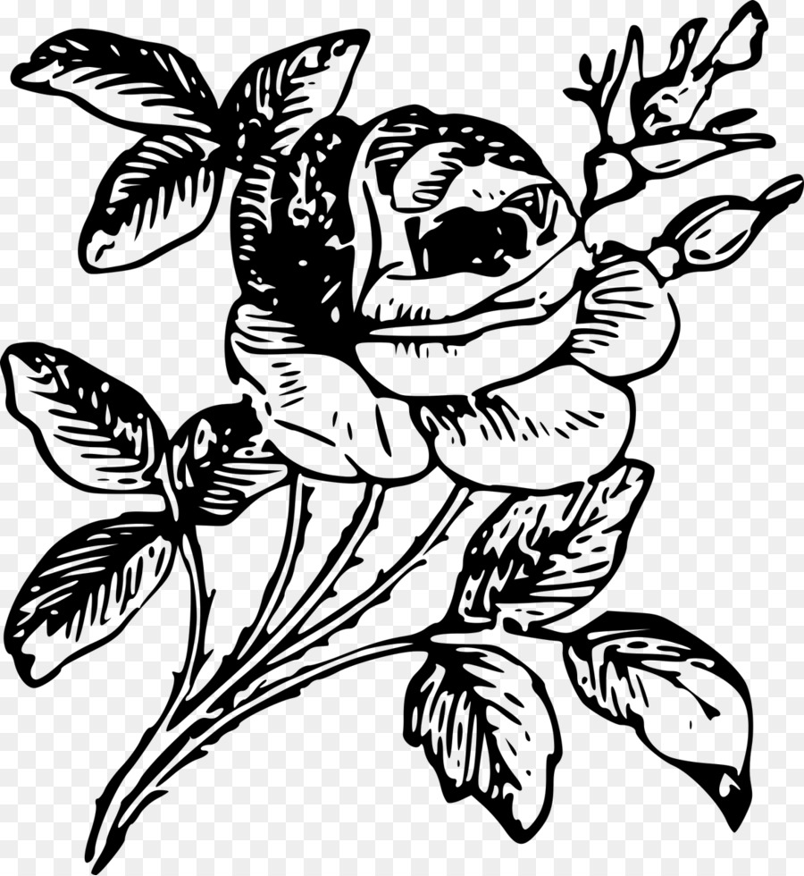 Rose Engraving Etching Flower - rose  tattoo png download - 1177*1280 - Free Transparent Rose png Download.