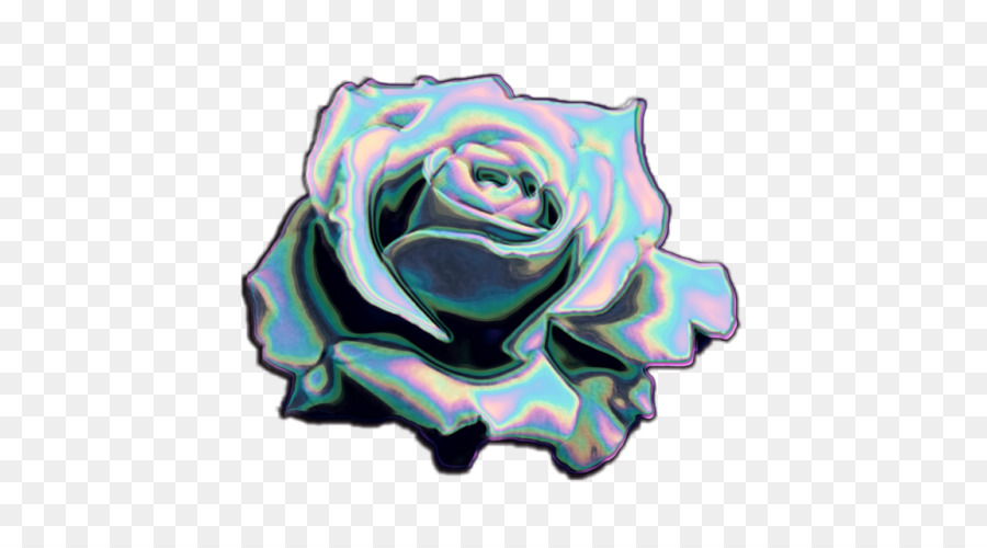 Garden roses Rainbow rose Tumblr Blog - holography png download - 500*500 - Free Transparent Garden Roses png Download.