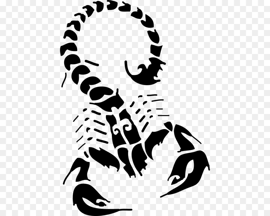 Scorpion Tattoo Flash Drawing - scorpio png download - 500*720 - Free Transparent Scorpion png Download.